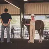 GRACIE HALABURT - @gracie.halaburt - TikTok