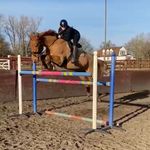 @gracie_cameron12 - Instagram