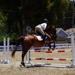 Gracie Carson - @graciecarson_eq - Instagram