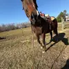 Gracie Carter - @weedisthebestcure - TikTok