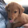 Gracie Cooley - @graciepriv01 - TikTok