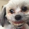 gracieeviecorey - @gracieeviecorey - TikTok