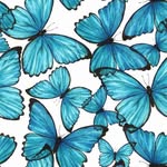 Gracie Denney - @_gracies_closet_clean_out - Instagram