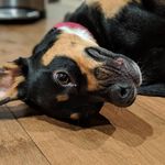 Gracie Jane Downs - @graciejanedowns - Instagram