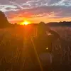 gracieeverett - @gracieeverett - TikTok