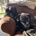 Grace Faust - Facebook