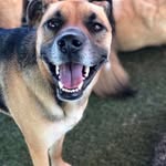 Gracie Goss - @gracie.goss09 - Instagram