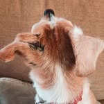 Gracie - @gracie_gossett_ - Instagram