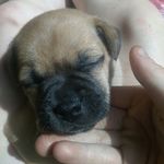 gracie hall - @graciehall4427 - Instagram