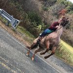 Gracie Hall - @barrel_racing_for_life00 - Instagram