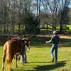 Gracie - @gracieharris_ - TikTok