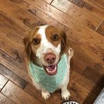 Gracie Harris - @crazygraciepie - Instagram