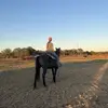 gracie - @ingramgracie1 - TikTok