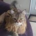 Gracie Law - Facebook