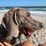Gracie Lou Lowe - @thebeachweim - Instagram