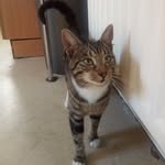 Gracie Lowe - @gracie00167 - Instagram
