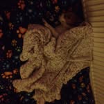 Gracie Lowe - @tinker.bell01 - Instagram