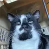 Gracie - @gracie.mathis - TikTok