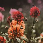 Gracie Mathis - @neverending_pendulum - Instagram