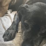 Gracie Murphy - Facebook