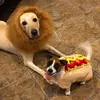 MURPHY & GRACIE - @murphy_gracie - TikTok