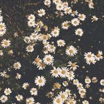 Grace - @gracieolson - Instagram