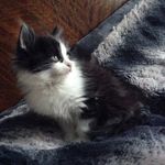 Gracie Marie James Olson - @gracie_marie_james_olson - Instagram