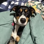 Gracie Olson - Facebook