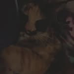 Gracie Parrish - @noahjack583 - Instagram