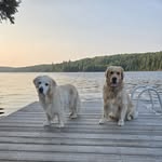 Courtney, Gracie & Patrick 🍁🇨🇦 - @courtney_gracie_patrick - Instagram