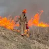 Gracie Pedersen - @gracie.pedersen - TikTok