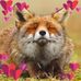 Gracie Peterson - Facebook