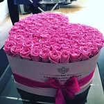Gracie_perkins - @gracie_perkins6 - Instagram
