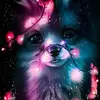 Gracie Perkins - @gracieperkins62 - TikTok