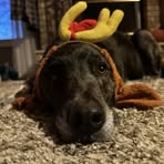 Grace Pointer - Facebook