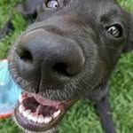 Gracie Bell - @gracie_bell_the_pointer - Instagram