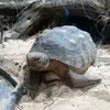 gracie - @gracieposey123456789 - TikTok