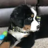 gracieschmidt69 - @gracieschmidt69 - TikTok