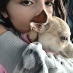 Gracie Silva - @sky.silverfav_colorgreen - Instagram