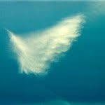 Gracie Silva - @spirit4yoursoul - Instagram