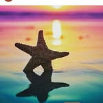 gracie Singleton - @graciesingleton345 - Instagram
