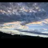 Gracie Spears - @gracie.spears2 - TikTok