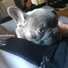 gracie - @gracie_stokes123 - TikTok