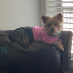 Gracie Stokes - @u.g.915 - Instagram