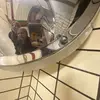 graciestokess - @gracestokes57 - TikTok