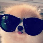 Gracie Todd - @gracie_555111 - Instagram
