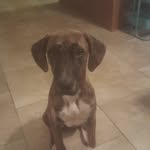 GracieWaycie - @graciewaycie_ - Instagram