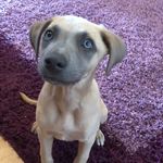 Gracie Webster - @luna_gracie123 - Instagram