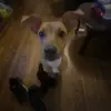 Gracie Woods - @graciewoods395 - TikTok