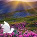 Graciela Abrego - Facebook